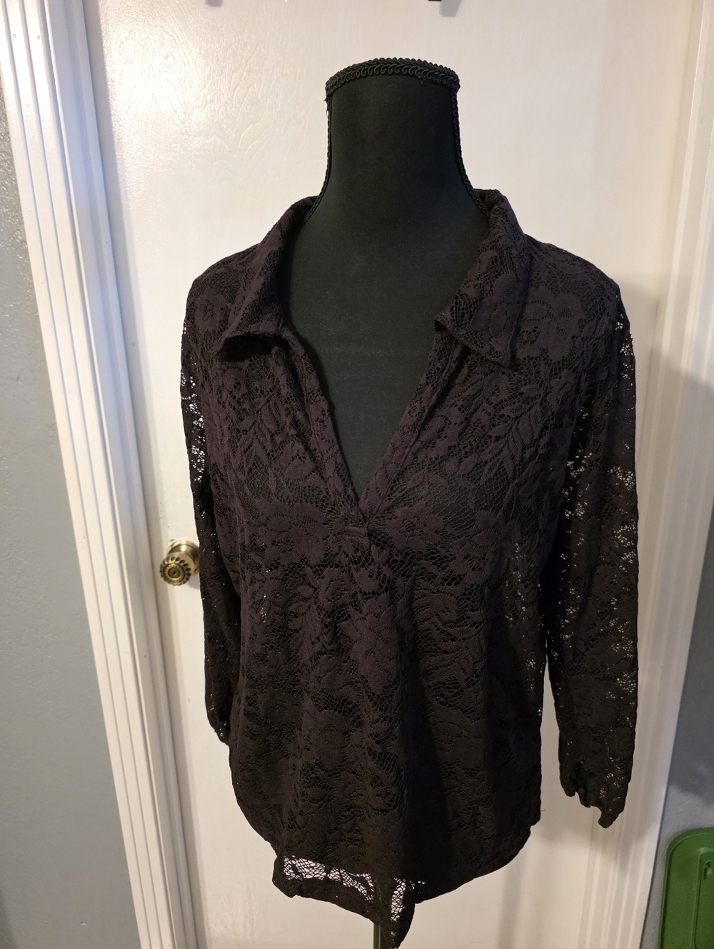 Mossino Women's Lace V-Neck Collared Top - Purple
